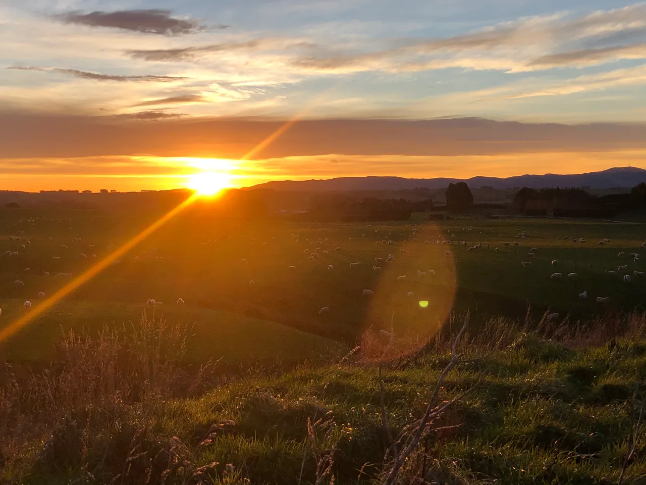 Farmland - Southland, New Zealand - Credit Great South (7)