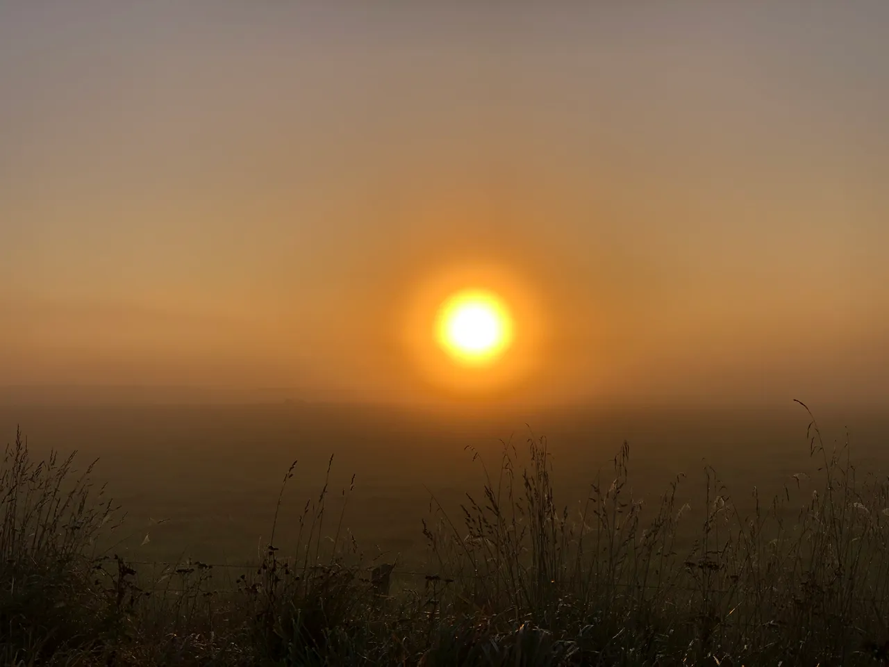 Farmland - Southland, New Zealand - Credit Great South (6)