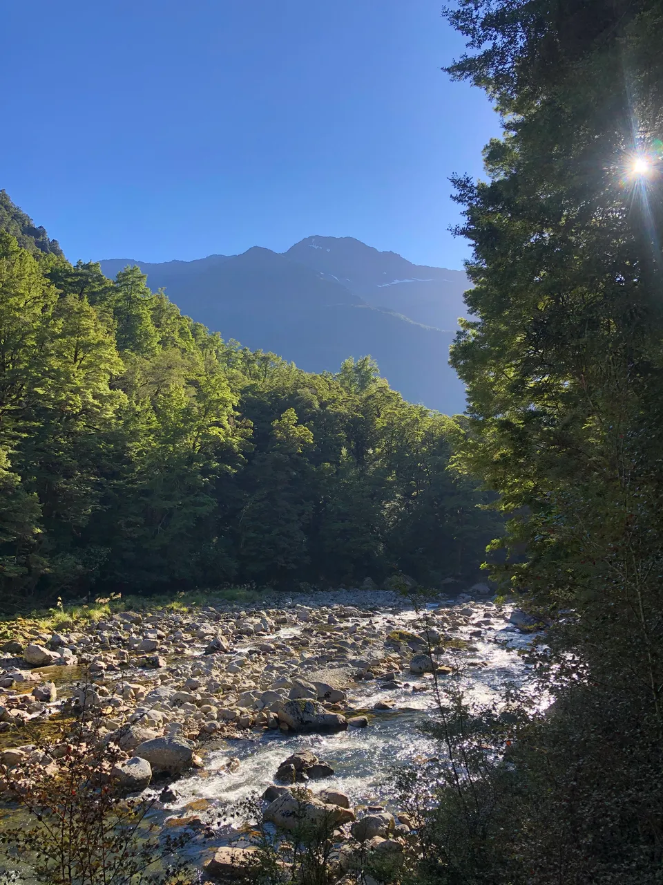 Milford Track - Southland, New Zealand - Credit Great South (8)