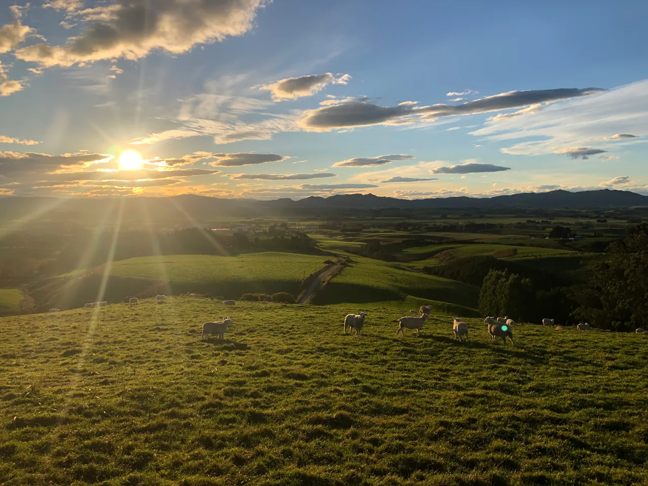 Farmland - Southland, New Zealand - Credit Great South (3)