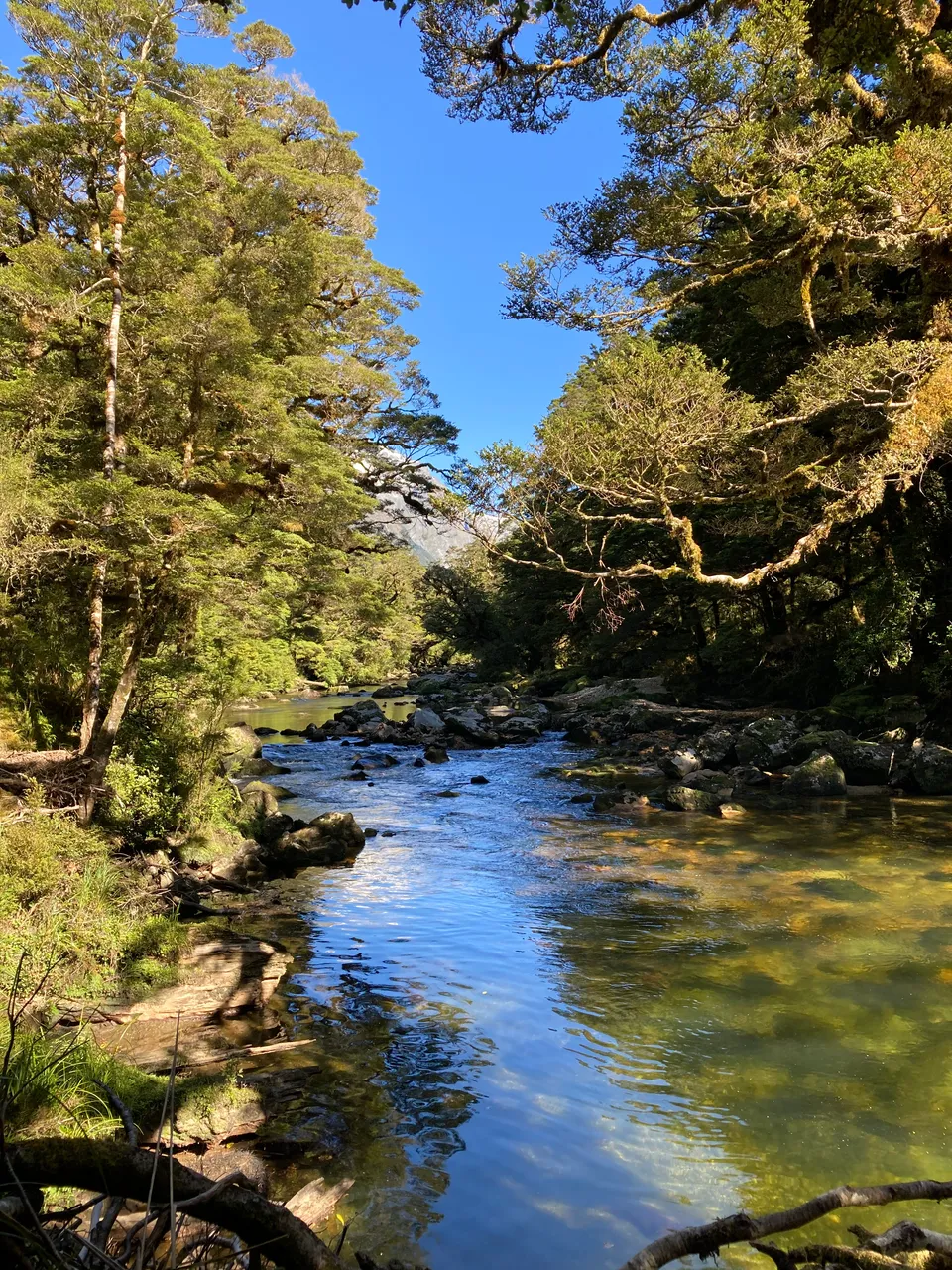 Milford Track - Southland, New Zealand - Credit Great South (6)