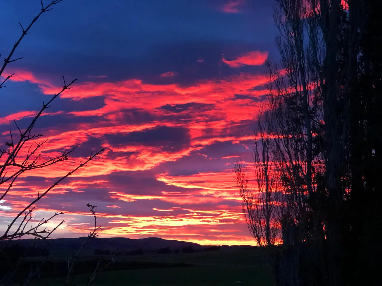 Farmland - Southland, New Zealand - Credit Great South (2)