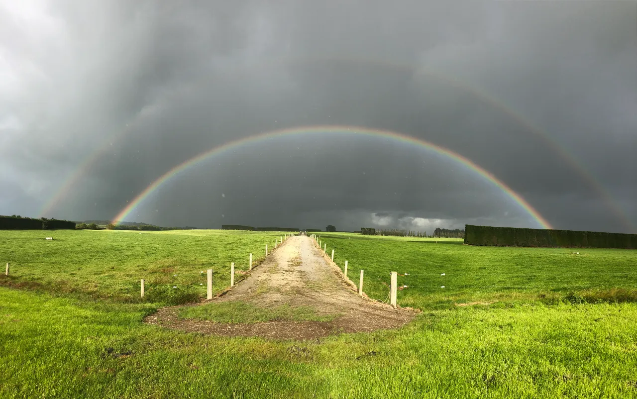 Dairy Farm - Southland, New Zealand - Credit Great South (8)