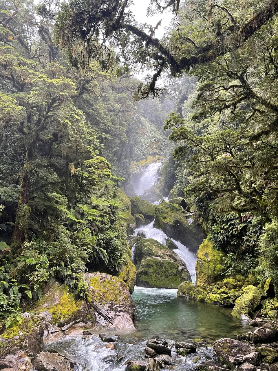 Milford Track - Southland, New Zealand - Credit Great South (1)