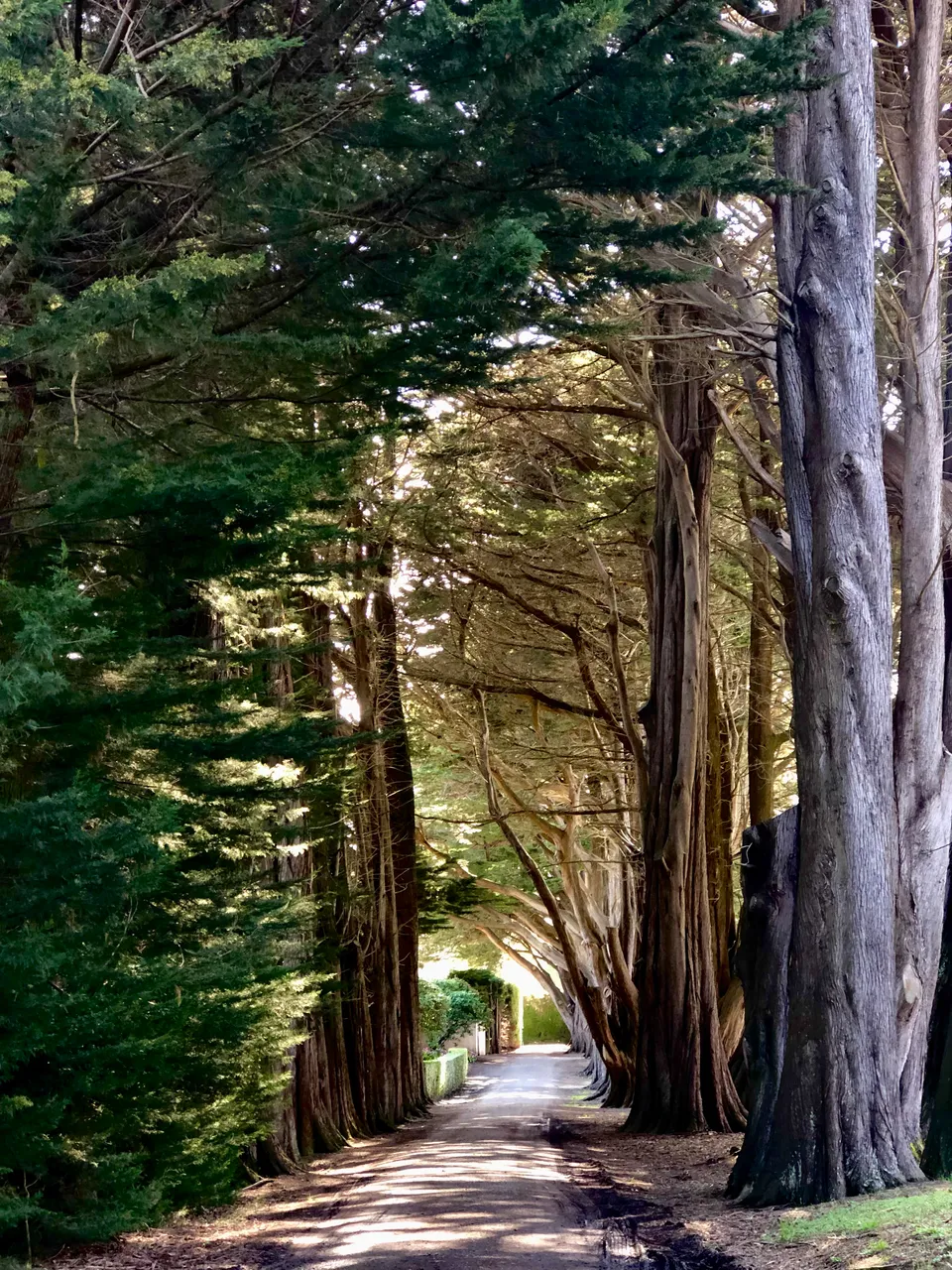 Queens Park - Southland, New Zealand - Credit Great South (10)