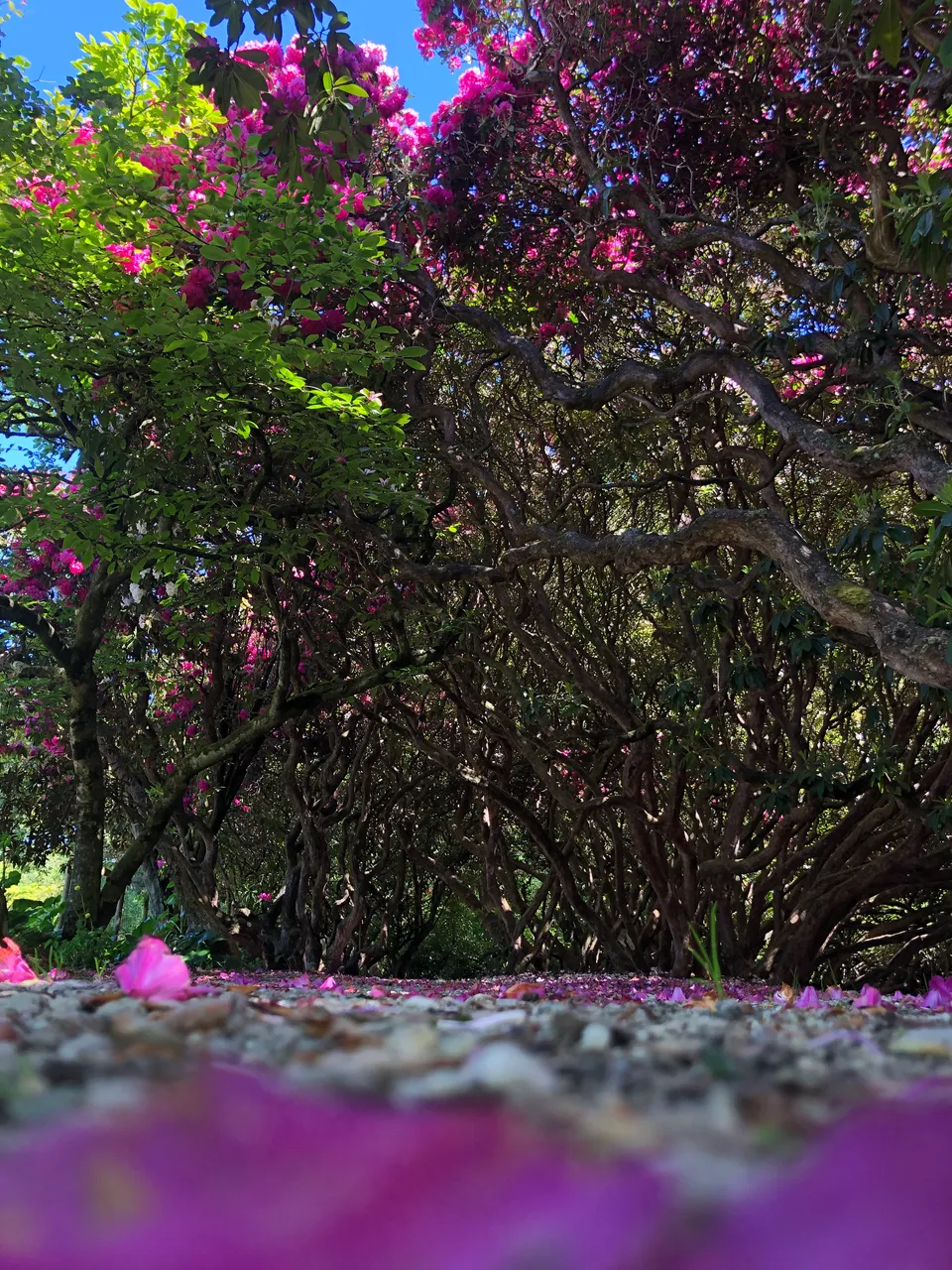 Queens Park - Southland, New Zealand - Credit Great South (2)