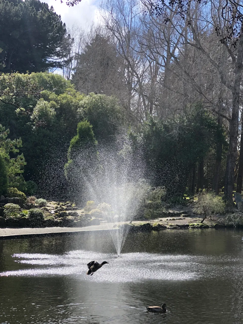 Queens Park - Southland, New Zealand - Credit Great South (11)