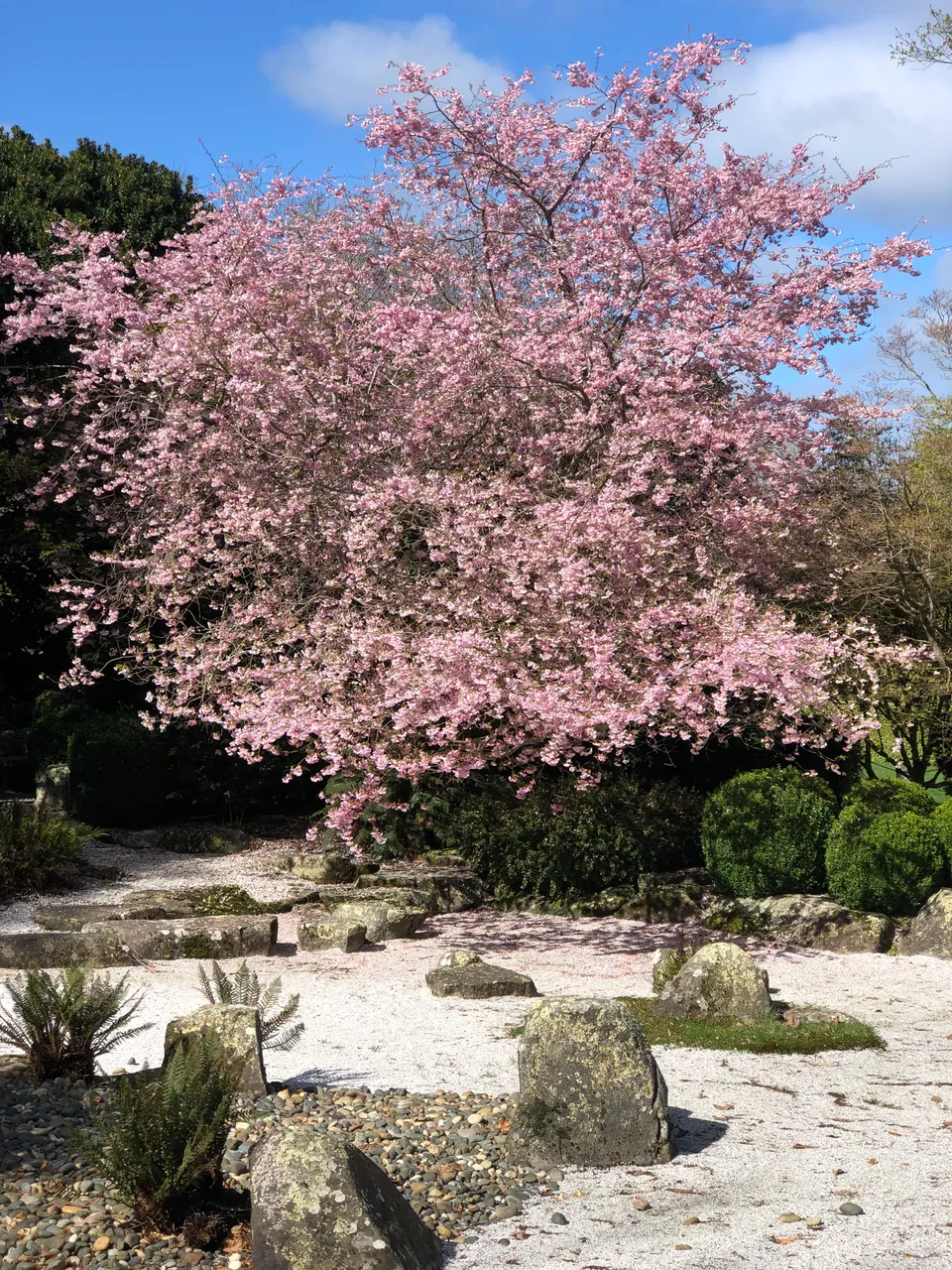 Queens Park - Southland, New Zealand - Credit Great South (7)