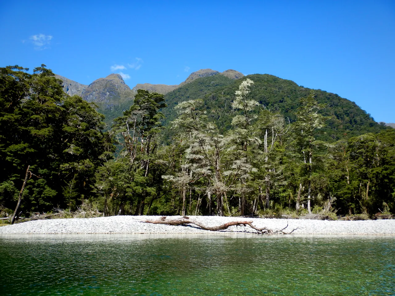 Milford Track - Southland, New Zealand - Credit Great South (11)