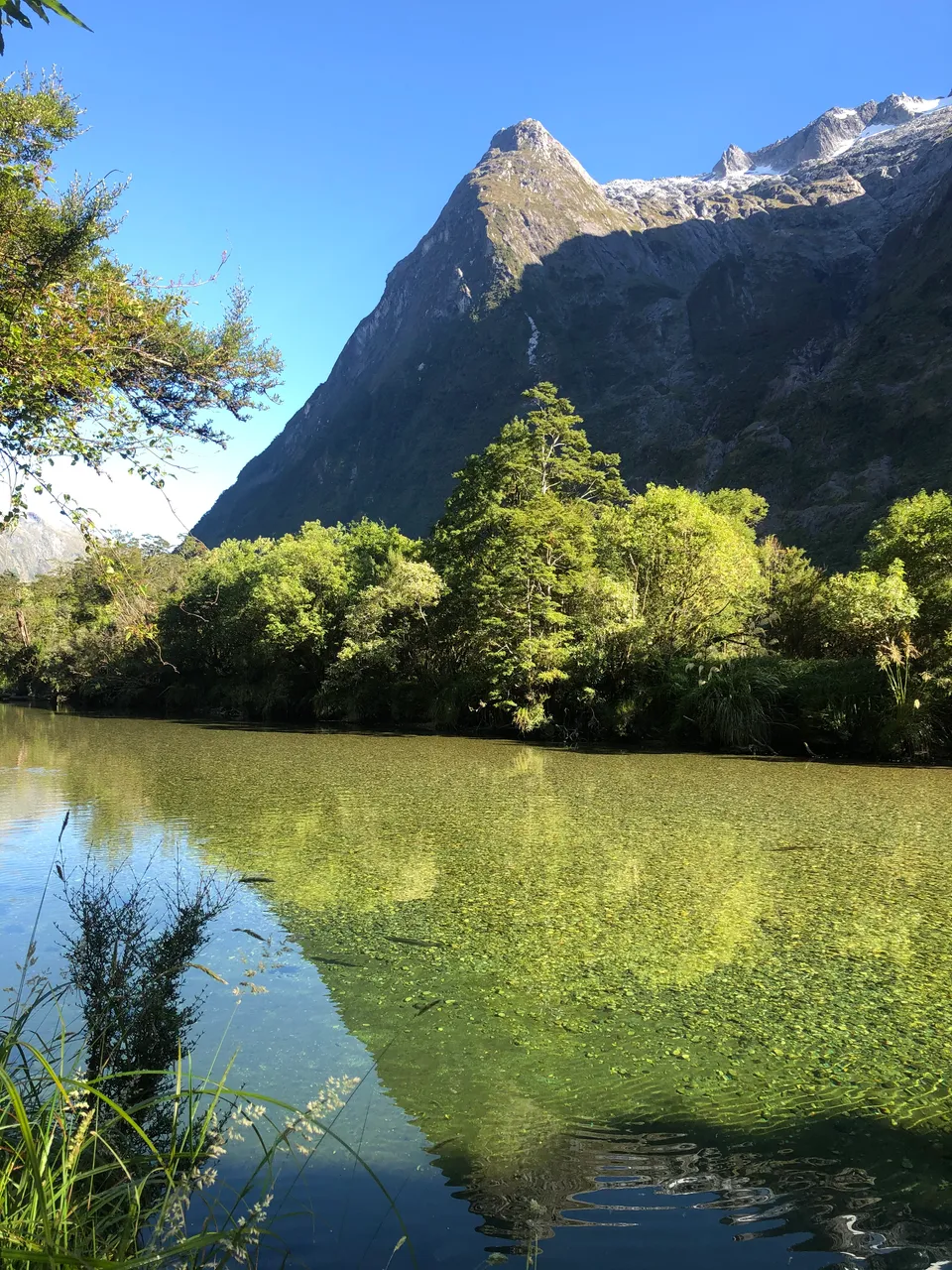 Milford Track - Southland, New Zealand - Credit Great South (10)