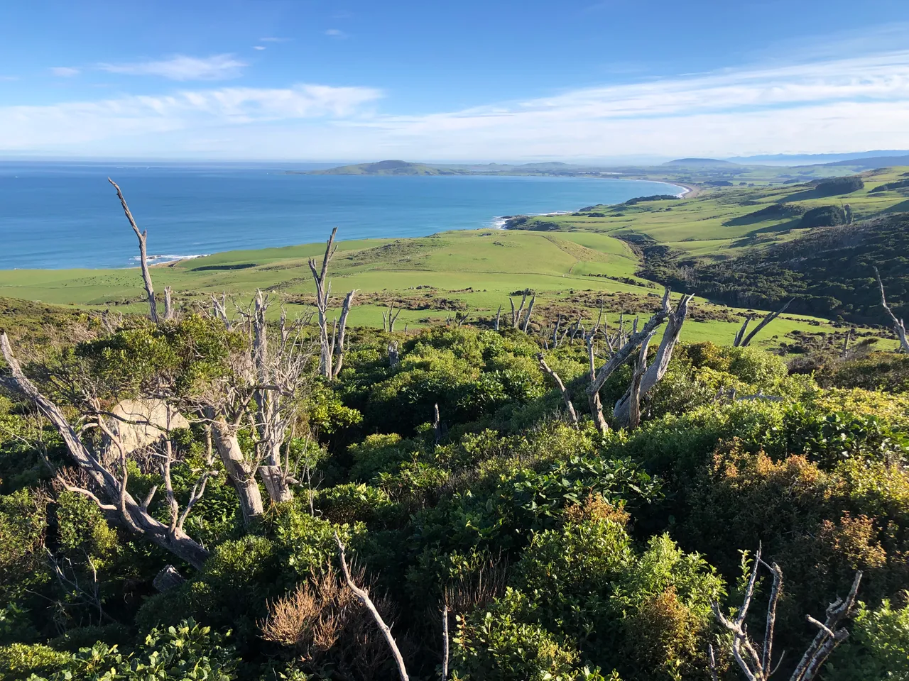 Mores Scenic Reserve Lookout - Southland, New Zealand - Credit Great South (1)