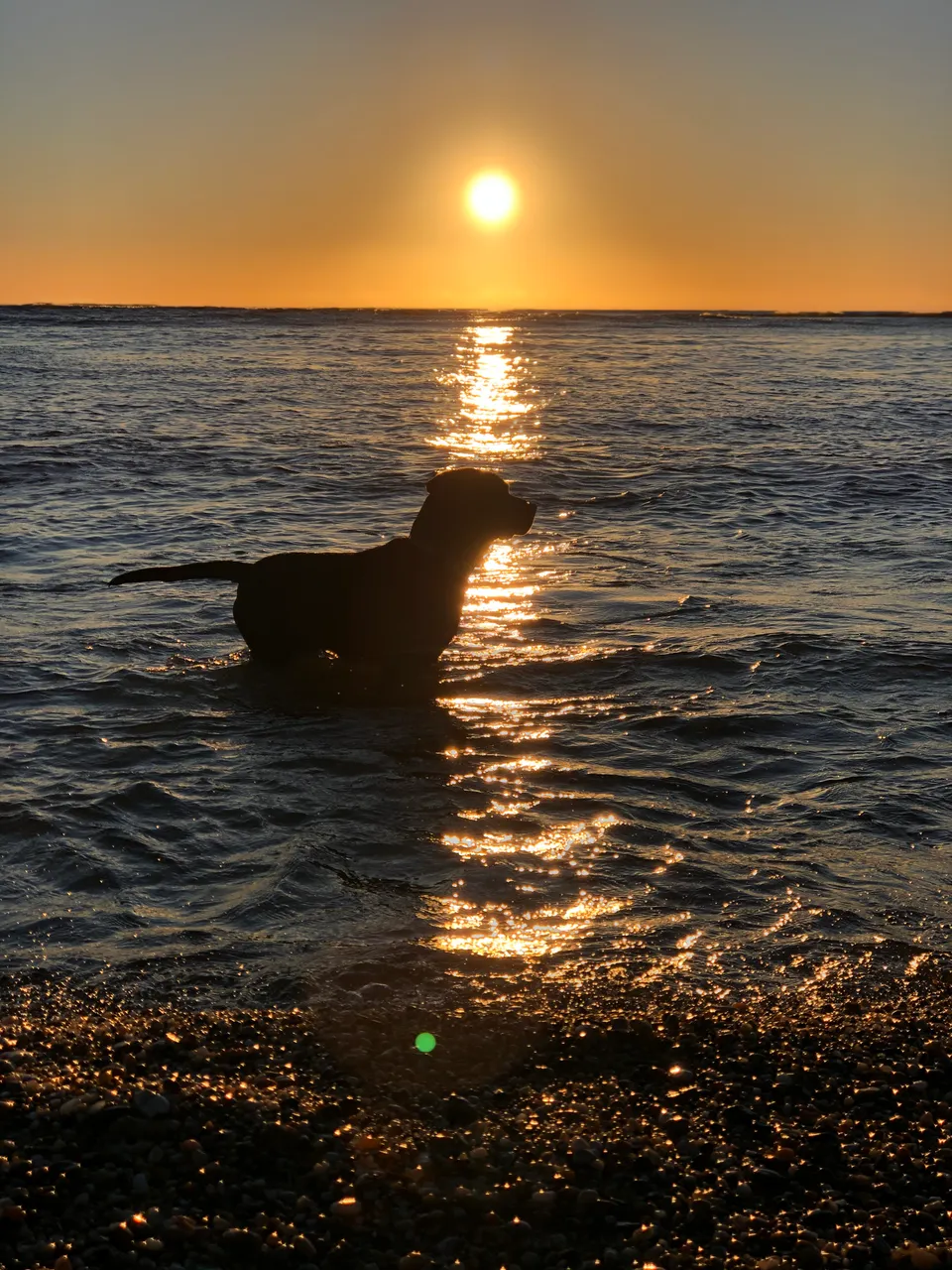 Fortrose - Southland, New Zealand - Credit Great South (3)