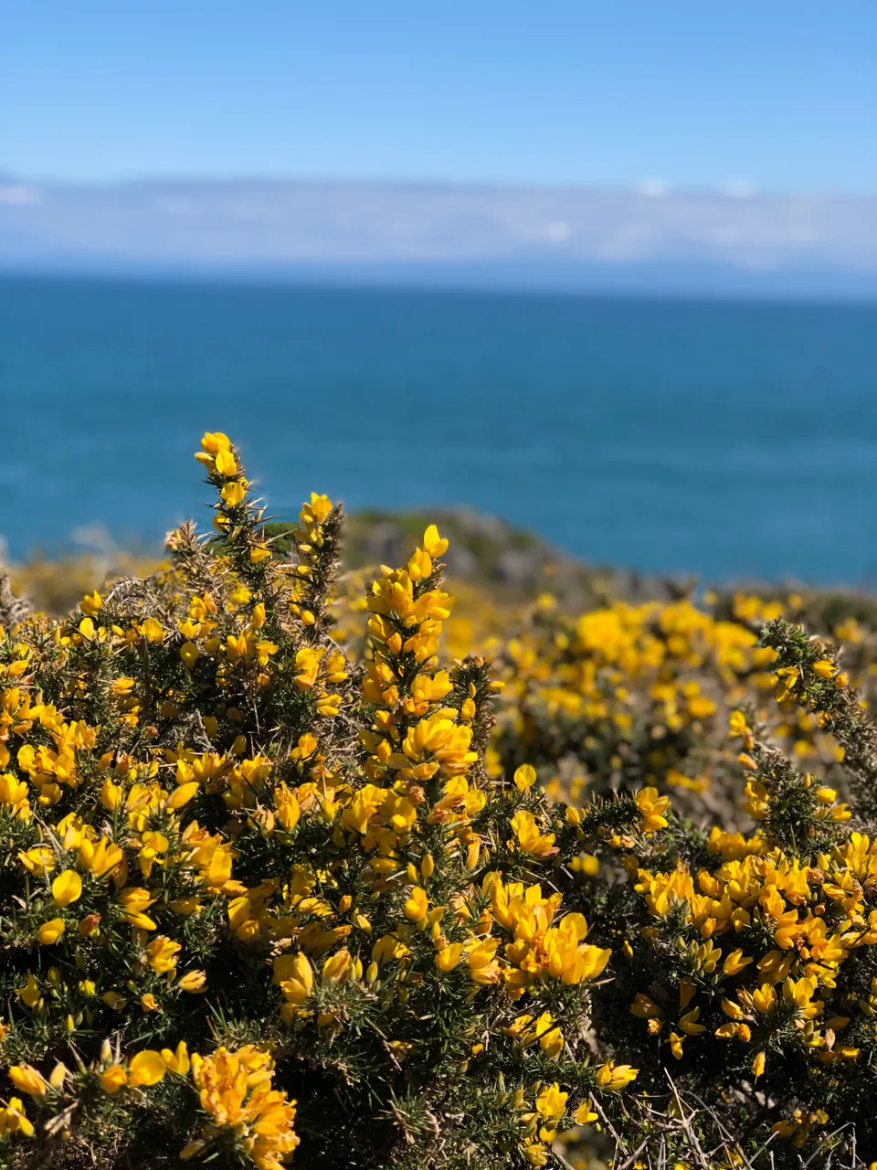 Bluff - Southland, New Zealand - Credit Great South (3)