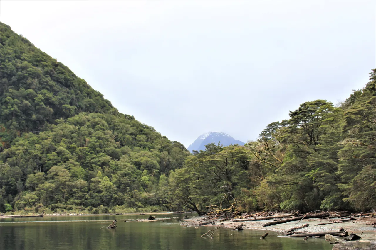 Milford Track - Southland, New Zealand - Credit Great South  (1)