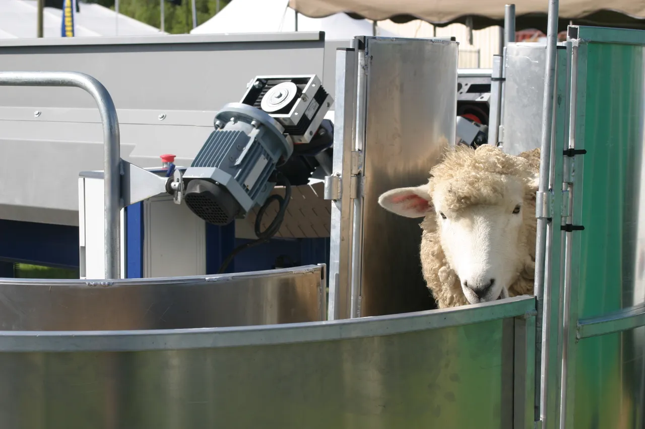 Southern Field Days - Southland, New Zealand - Credit Great South (6)