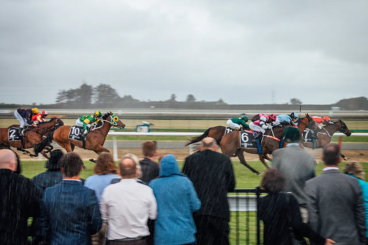 Ascot Park Christmas at the Races - Southland, New Zealand - Credit Great South (5)