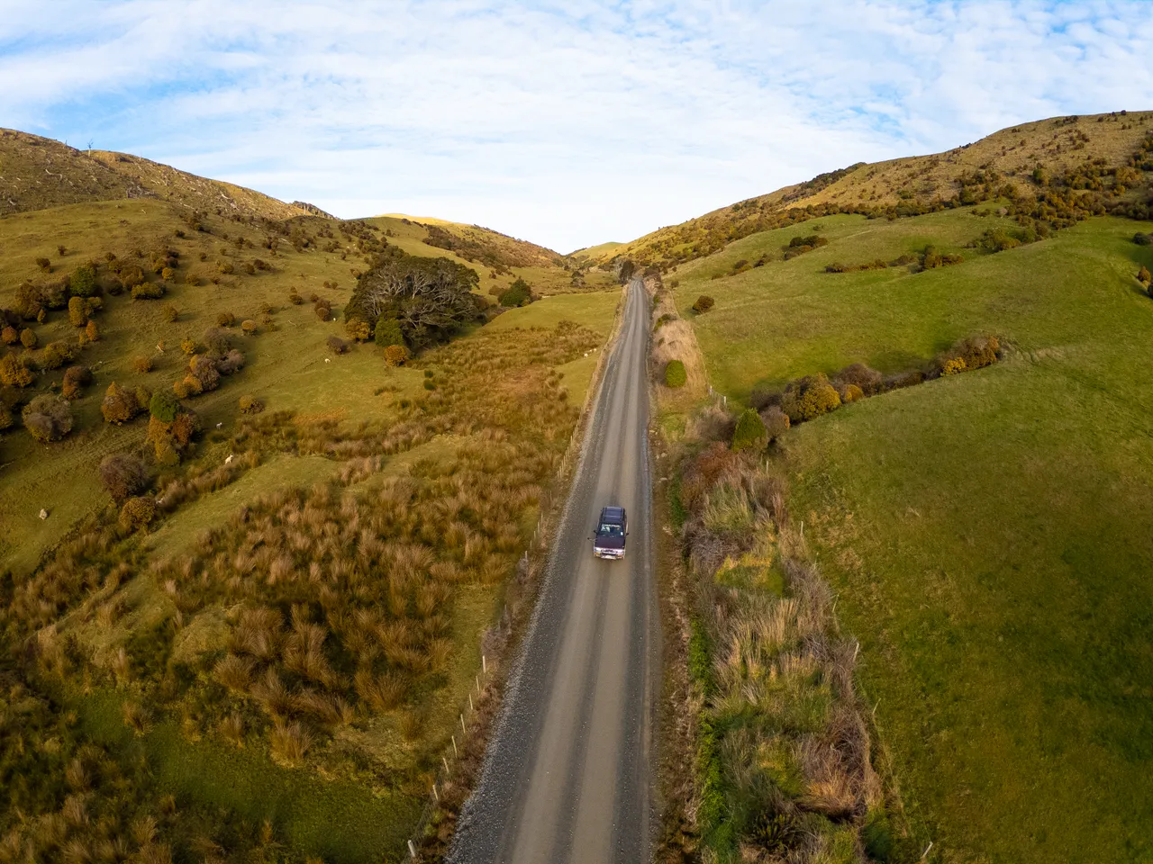 Catlins Road - Southland, New Zealand - Credit Great South (17)