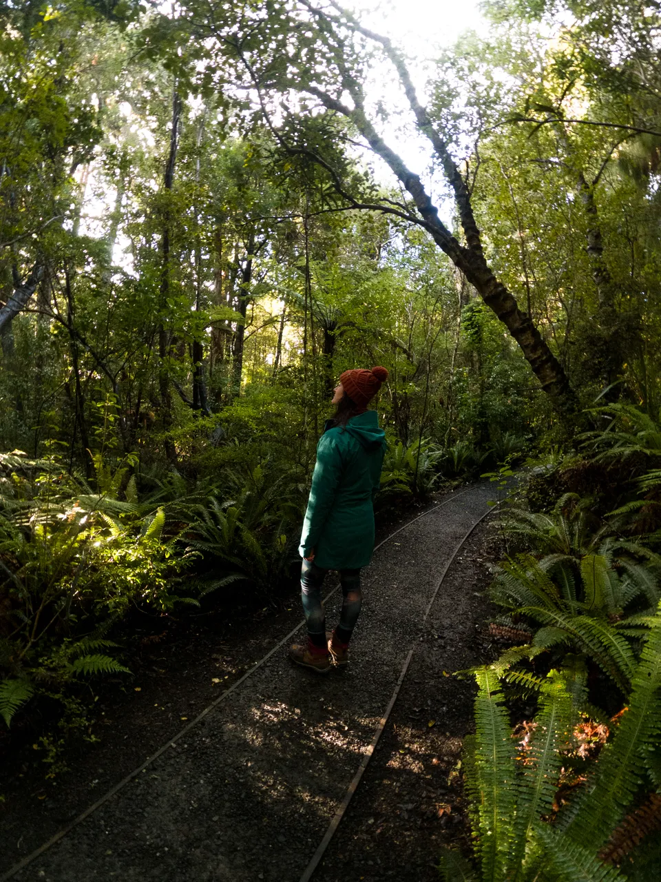 Ulva Island - Southland, New Zealand - Credit Great South (2)
