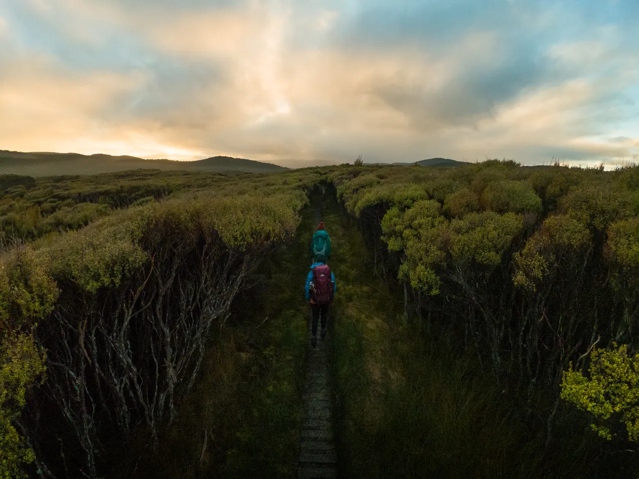 Rakiura Track - Southland, New Zealand - Credit Great South (13)