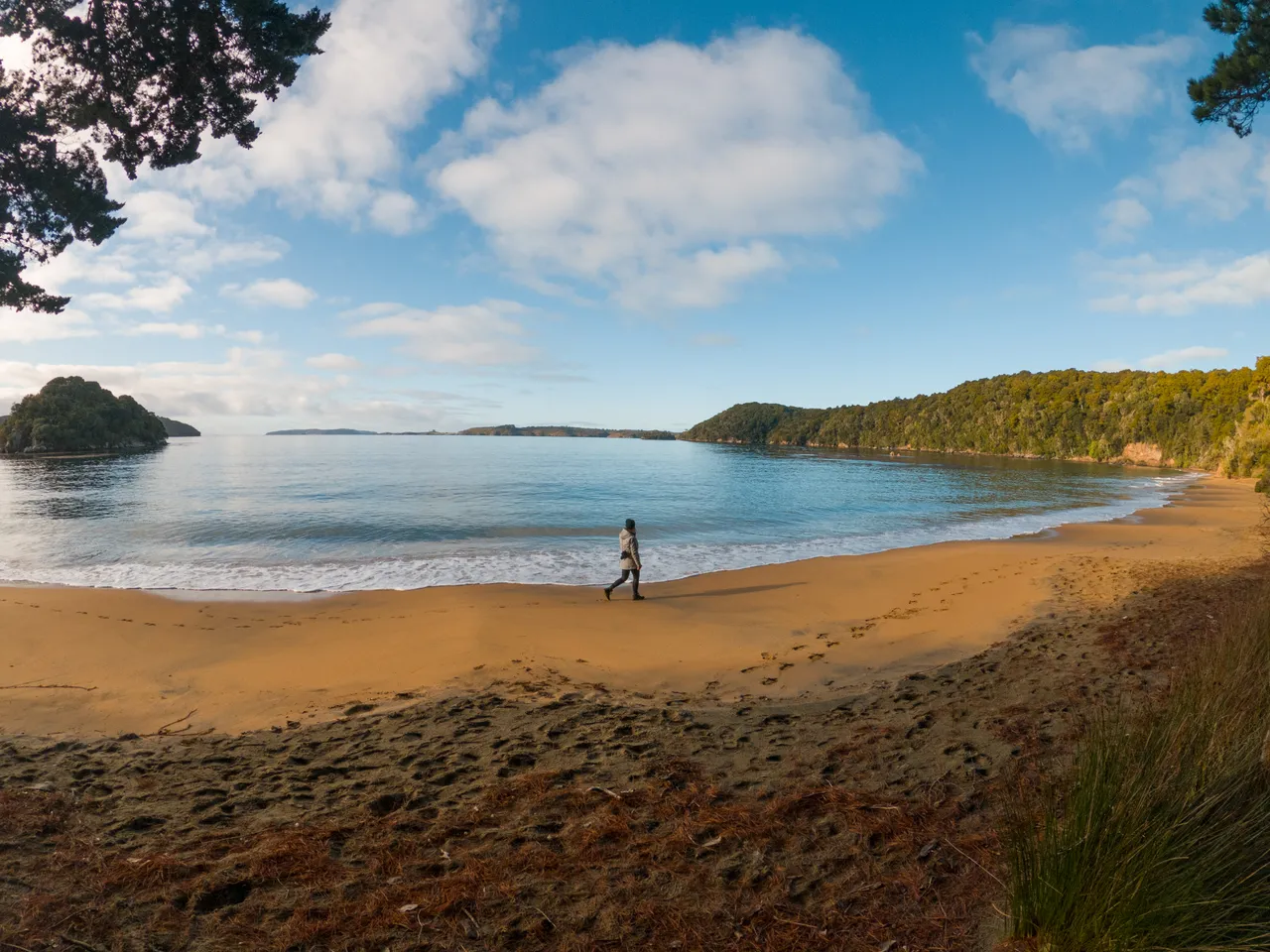 Sydney Cove, Ulva Island - Southland, New Zealand - Credit Great South (1)
