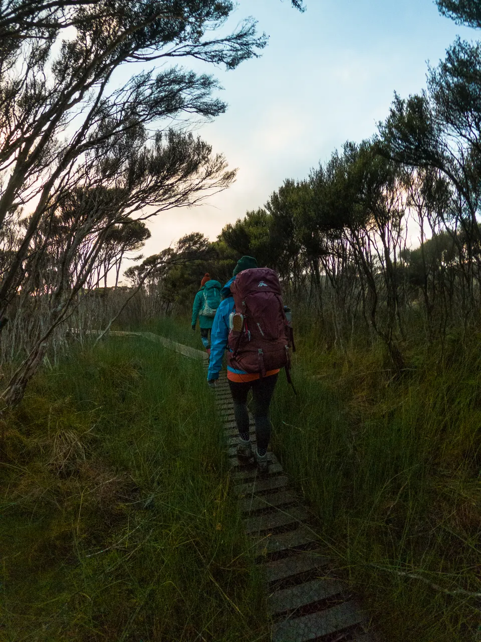 Rakiura Track - Southland, New Zealand - Credit Great South (14)