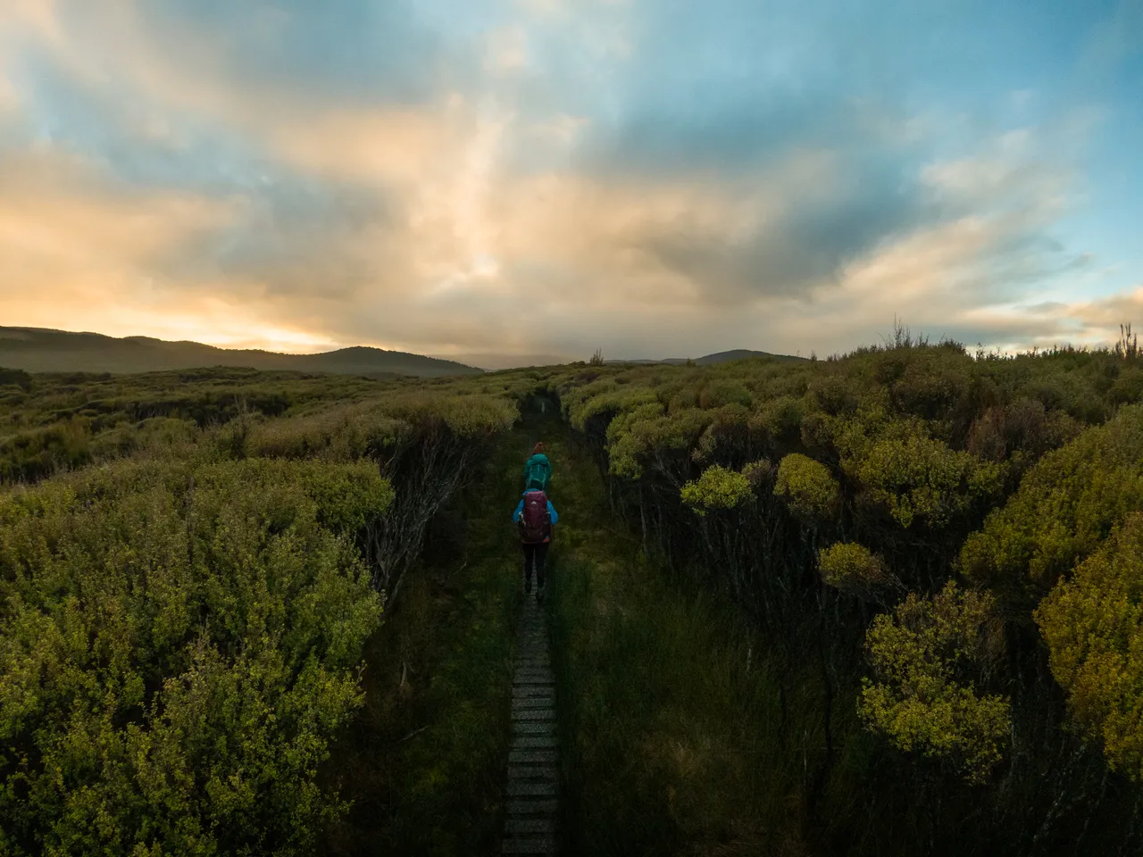 Rakiura Track - Southland, New Zealand - Credit Great South (12)