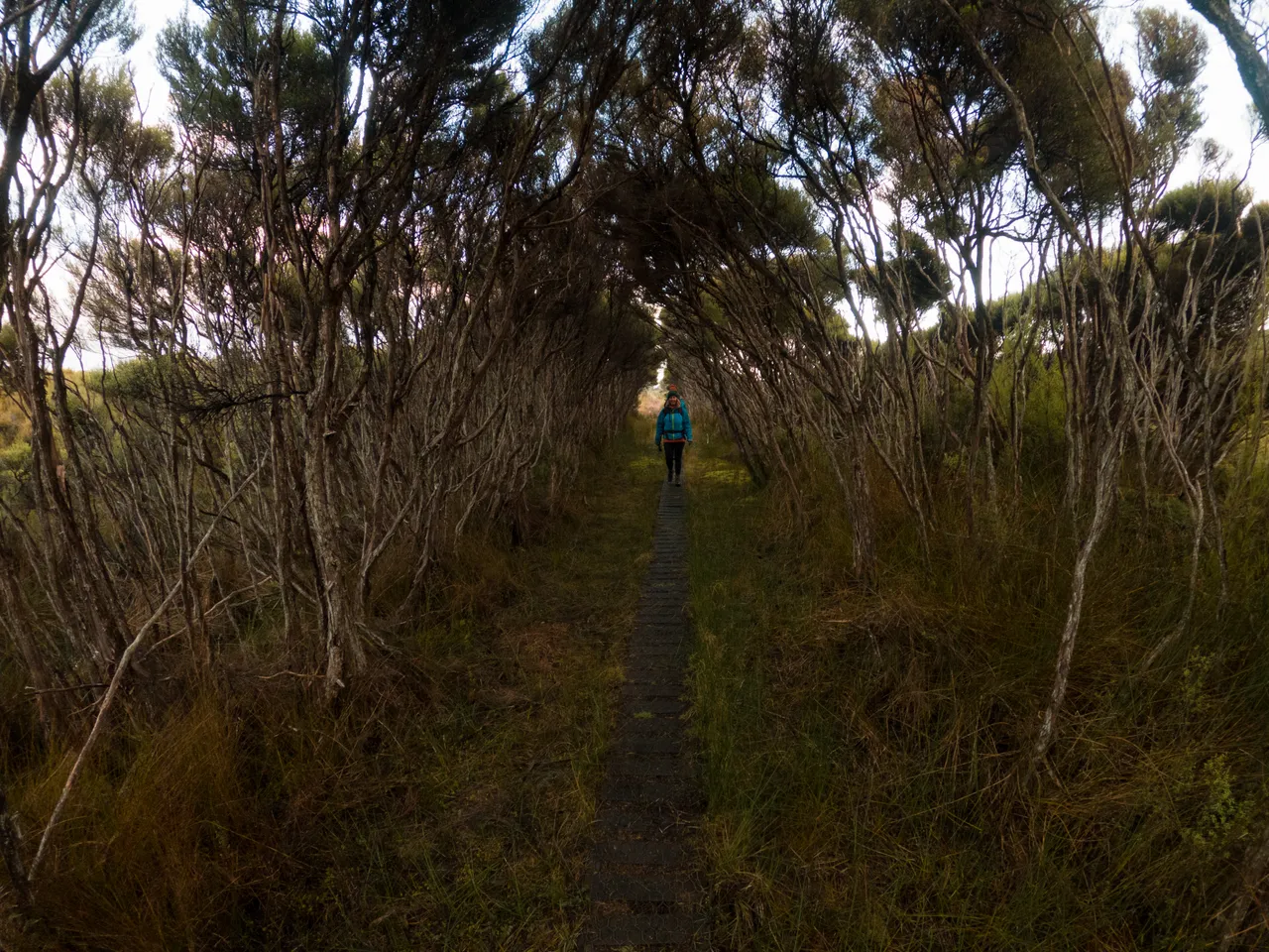 Rakiura Track - Southland, New Zealand - Credit Great South (10)