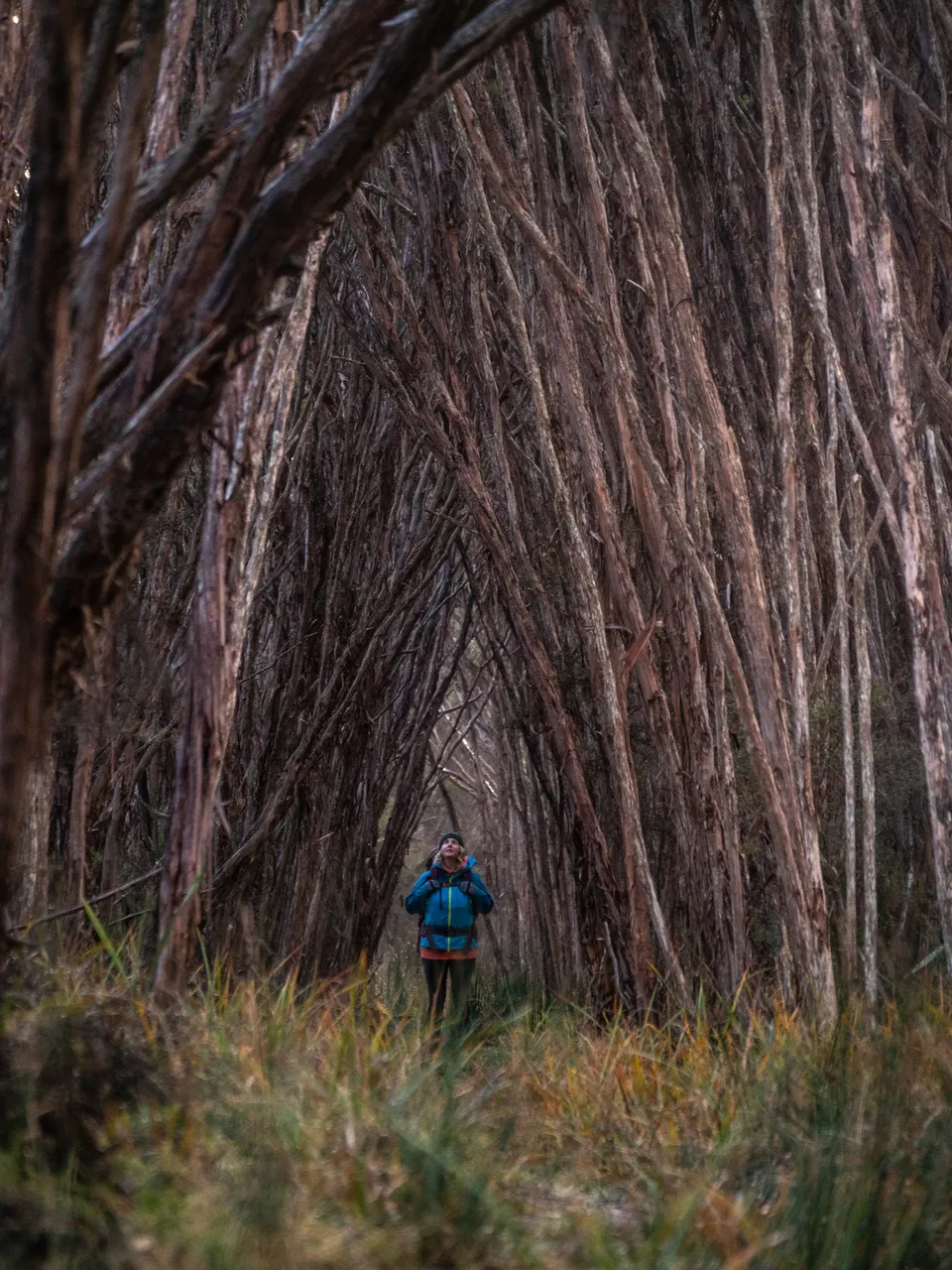 Rakiura Track - Southland, New Zealand - Credit Great South (25)