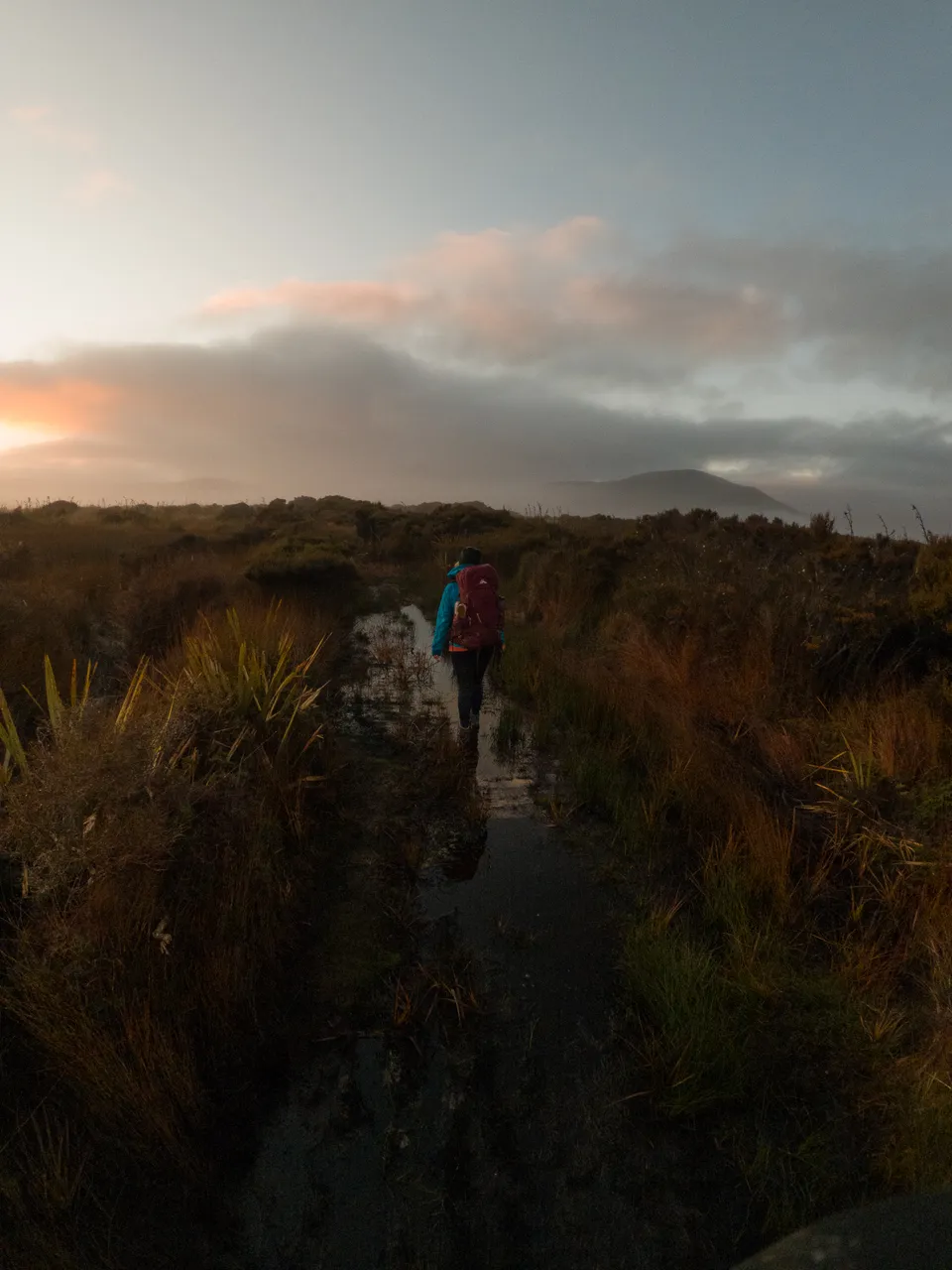 Rakiura Track - Southland, New Zealand - Credit Great South (9)