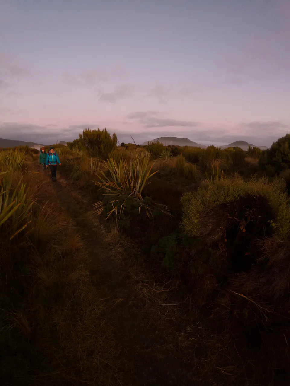 Rakiura Track - Southland, New Zealand - Credit Great South (6)