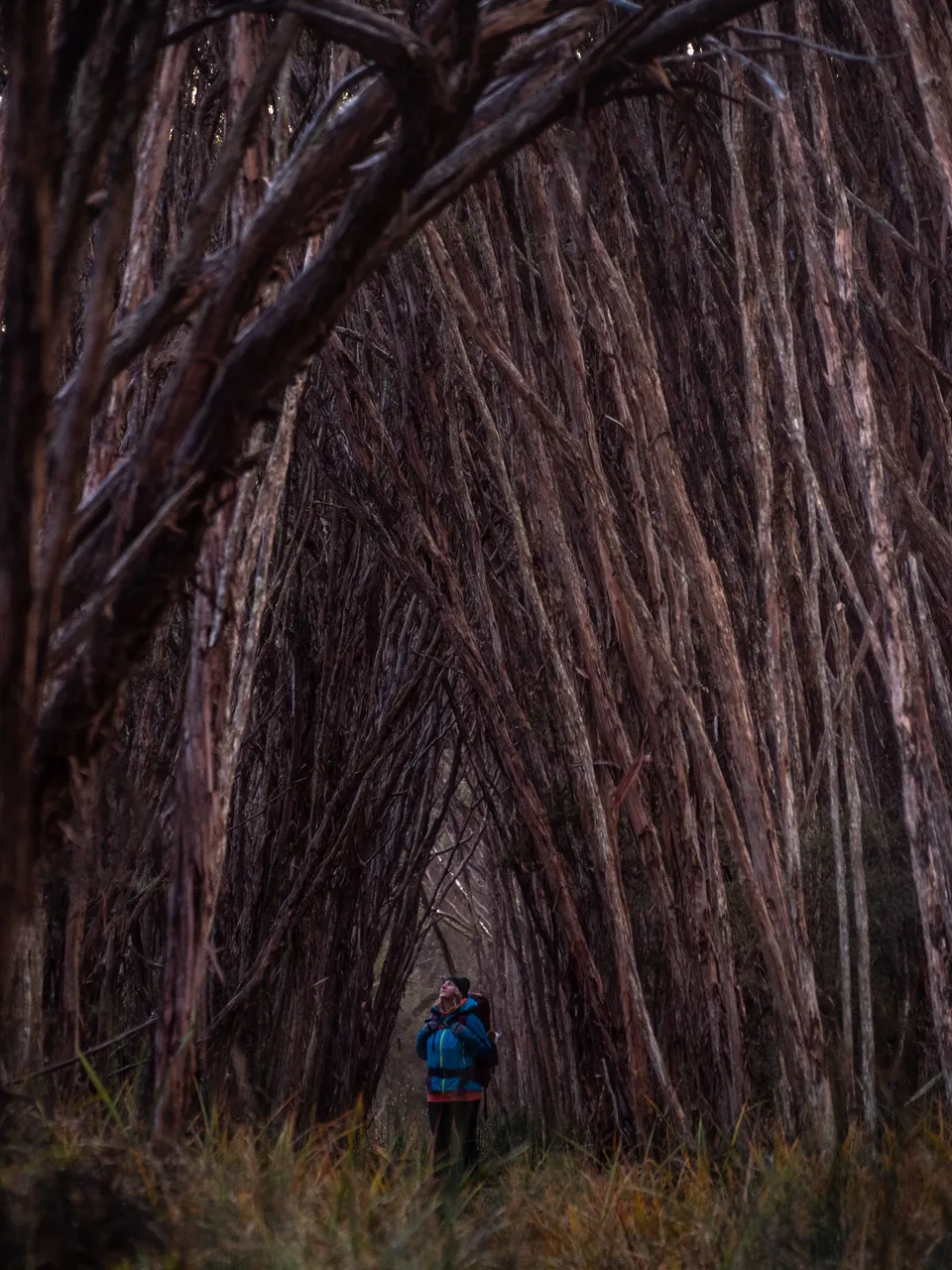 Rakiura Track - Southland, New Zealand - Credit Great South (26)