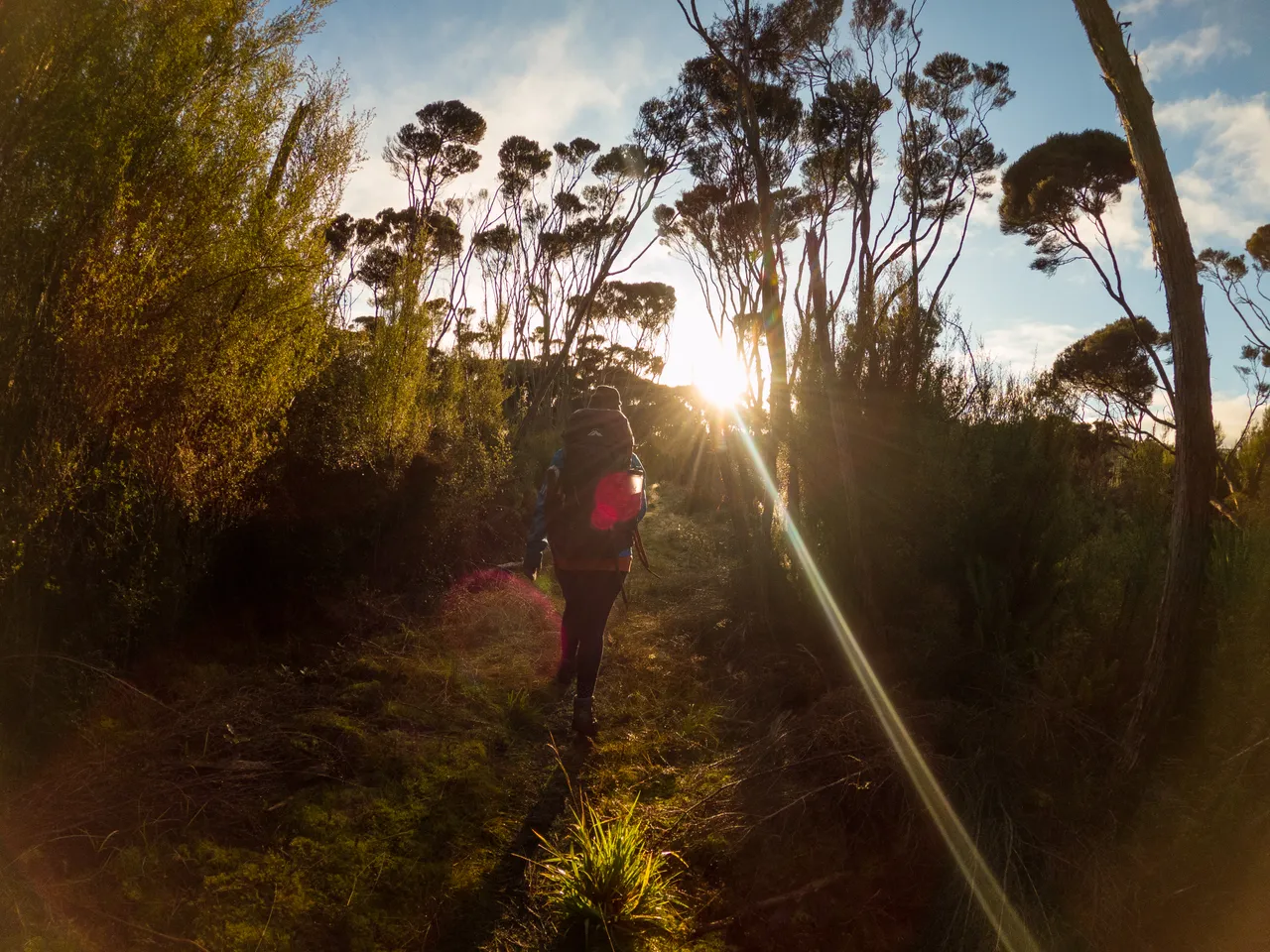 Rakiura Track - Southland, New Zealand - Credit Great South (20)
