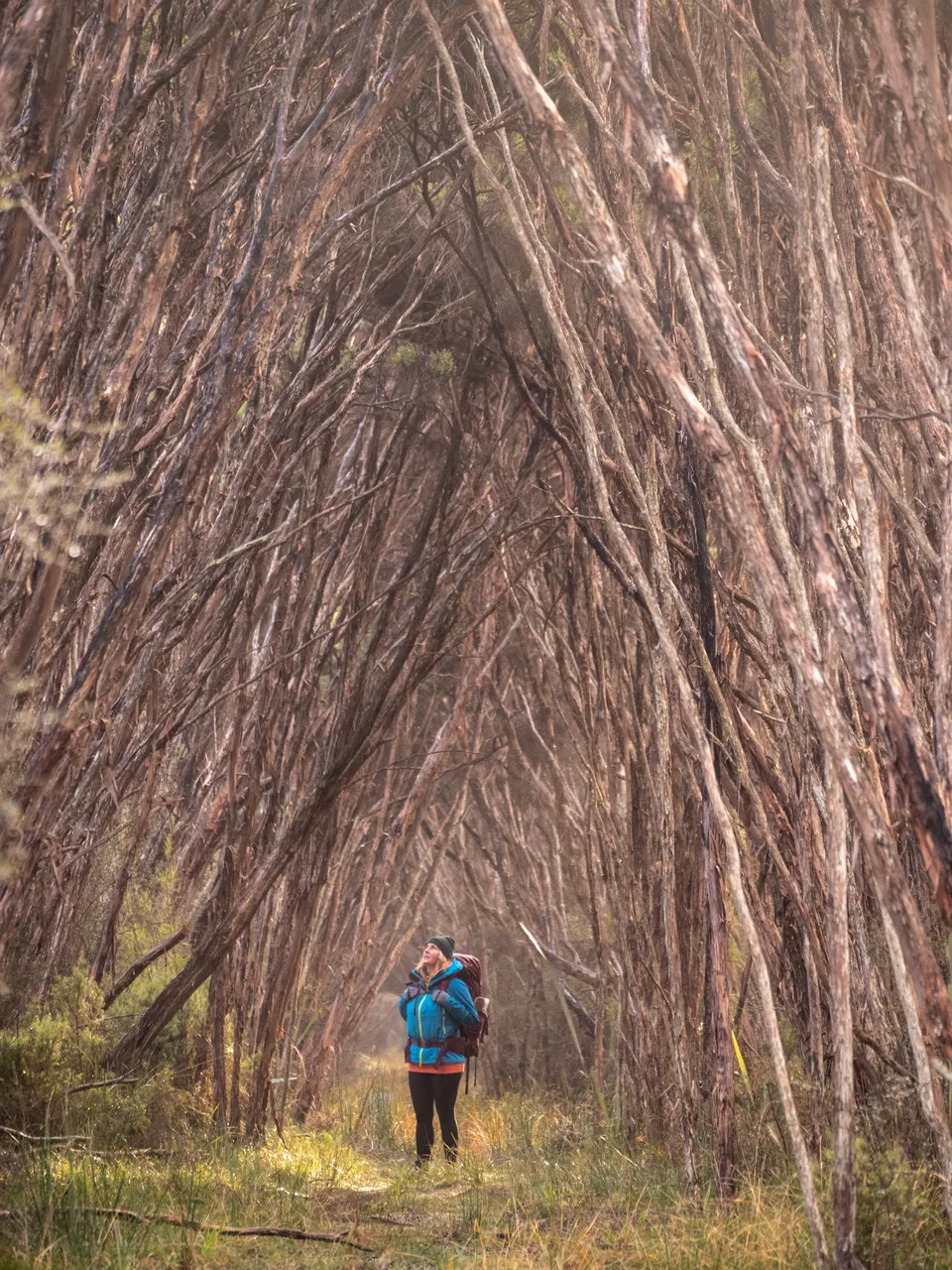 Rakiura Track - Southland, New Zealand - Credit Great South (28)