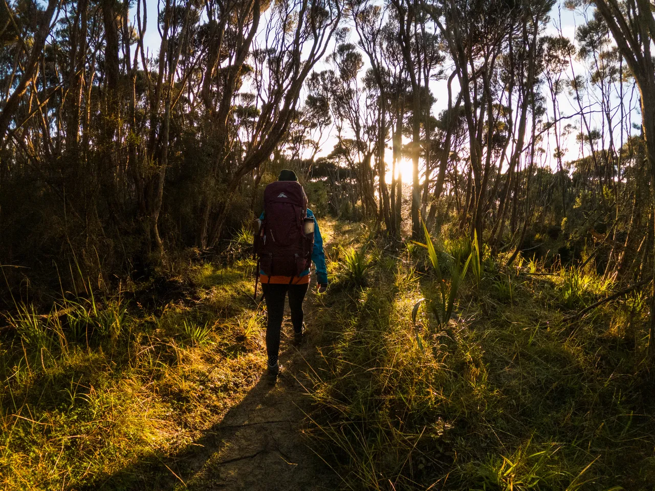 Rakiura Track - Southland, New Zealand - Credit Great South (22)