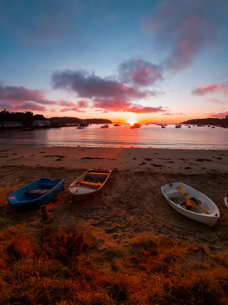 Halfmoon Bay - Southland, New Zealand - Credit Great South (9)