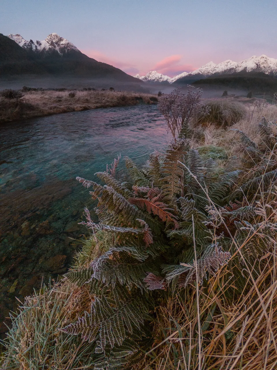 Cascade Creek - Southland, New Zealand - Credit Great South (2)