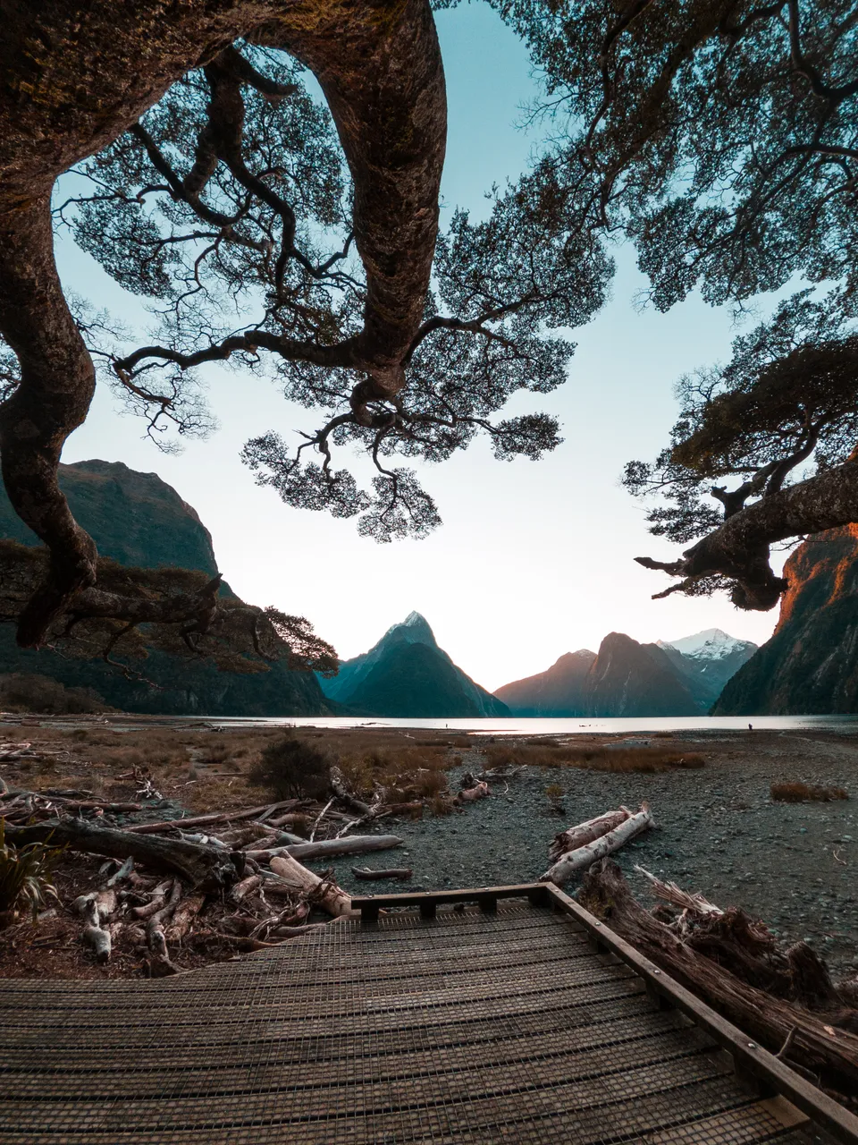 Milford Sound - Southland, New Zealand - Credit Great South (10)