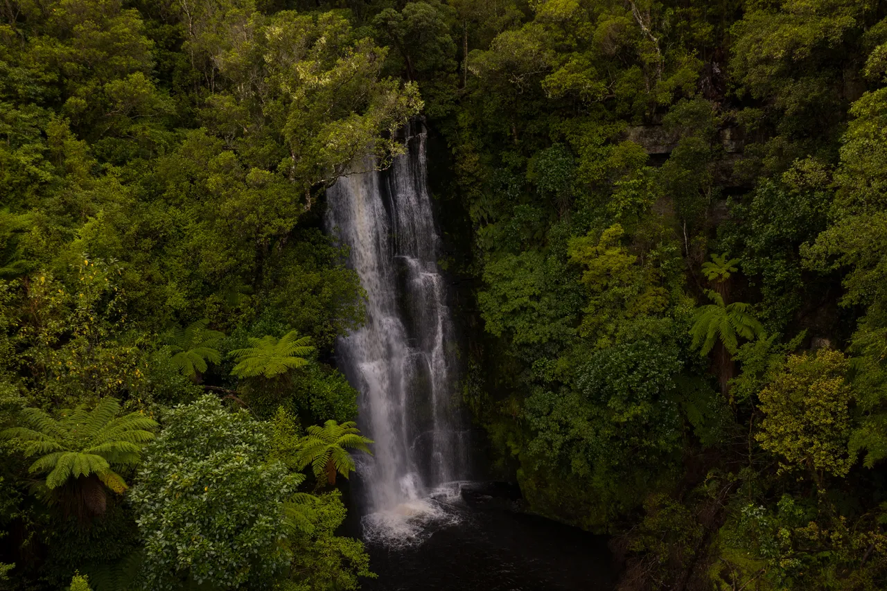 McLean Falls - Southland, New Zealand - Credit Great South (25)