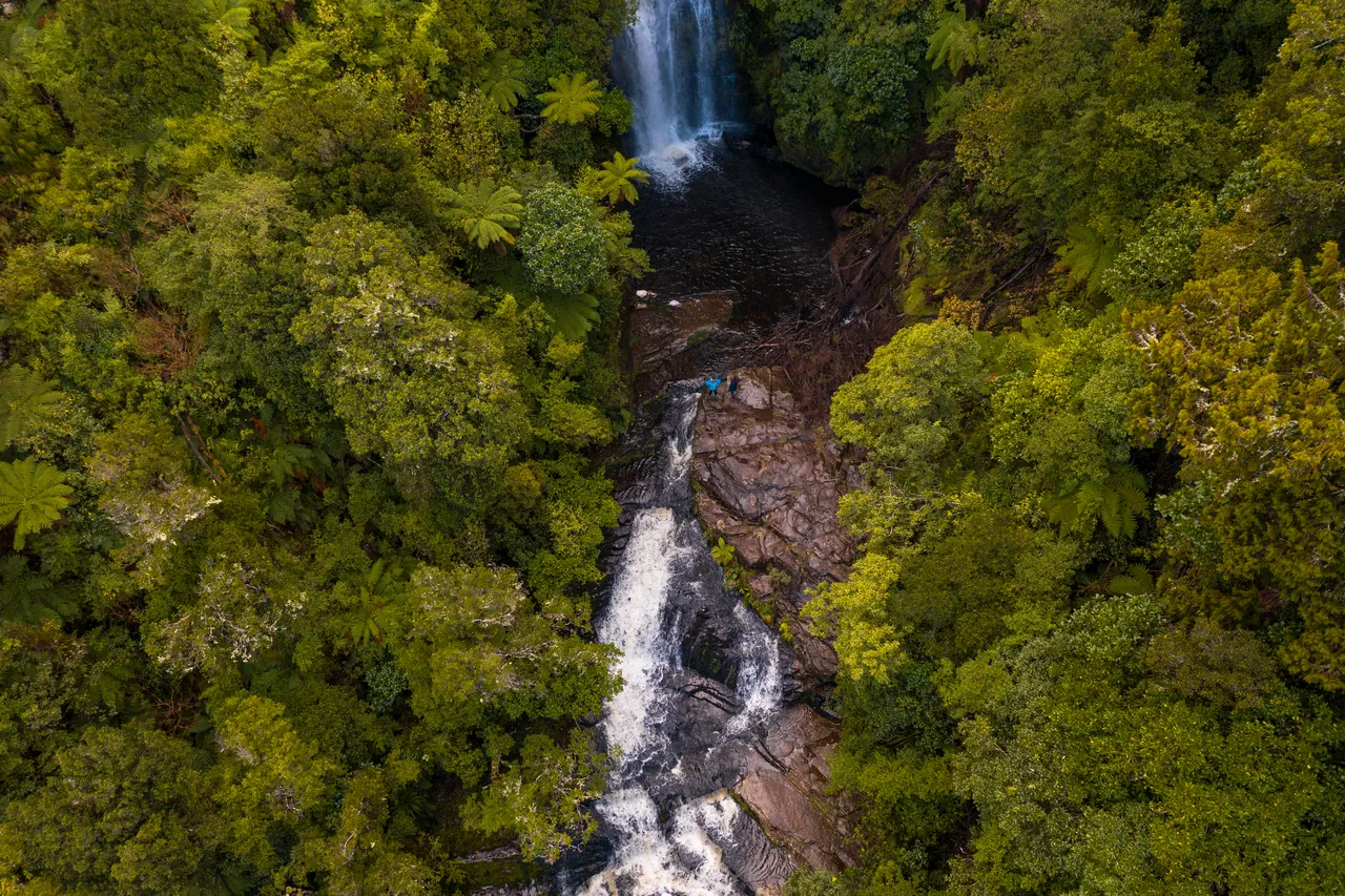McLean Falls - Southland, New Zealand - Credit Great South (16)