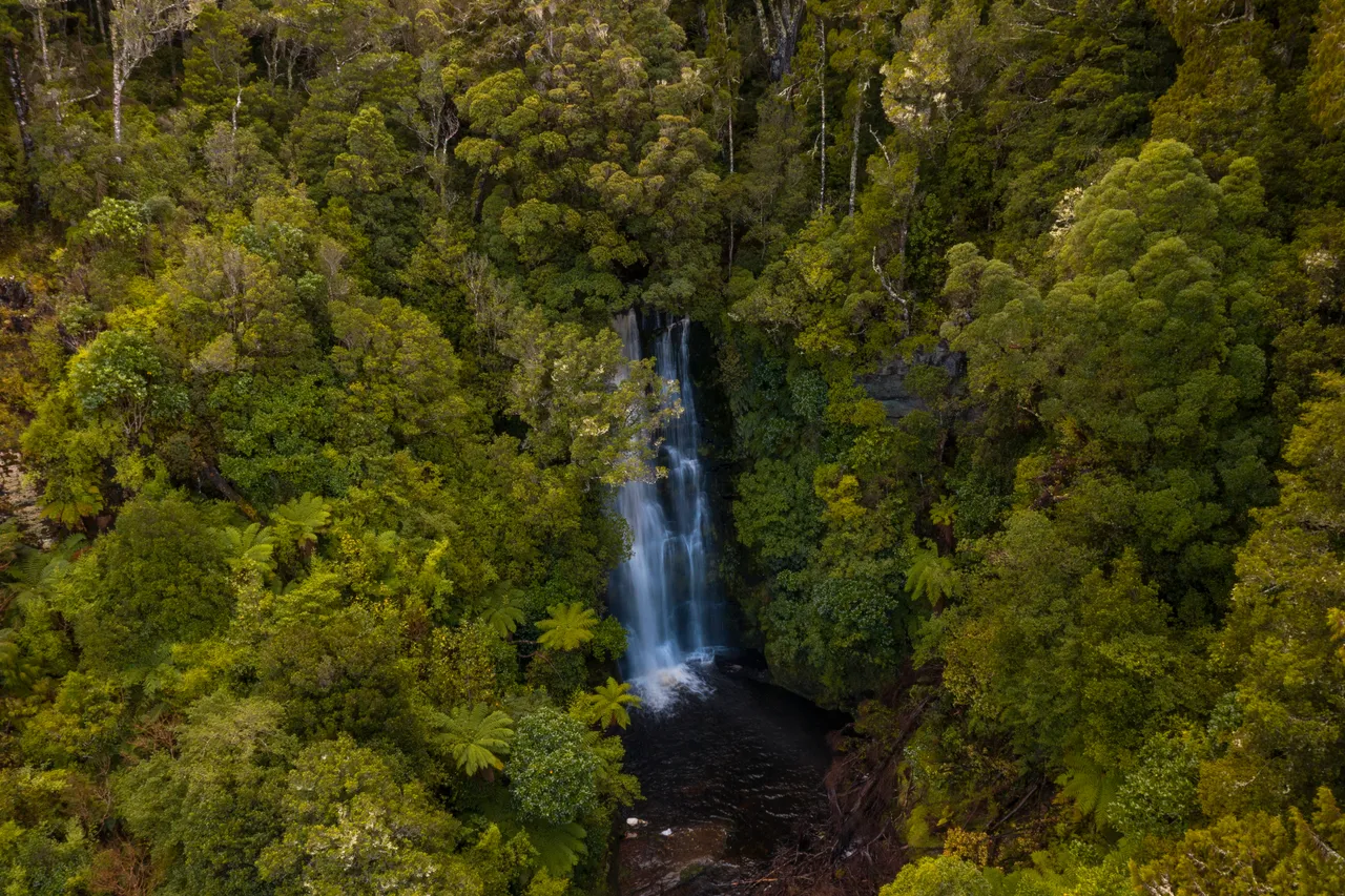 McLean Falls - Southland, New Zealand - Credit Great South (14)