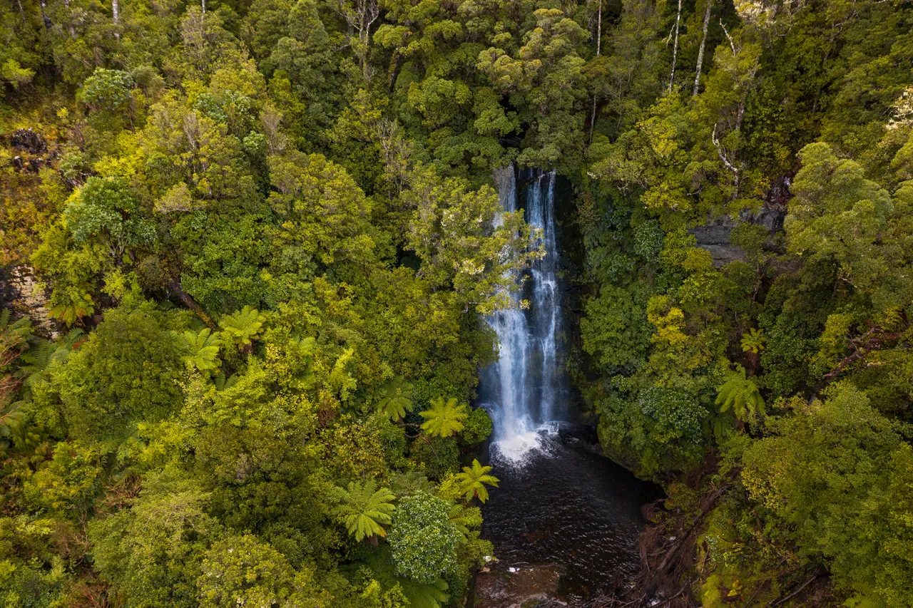 McLean Falls - Southland, New Zealand - Credit Great South (10)