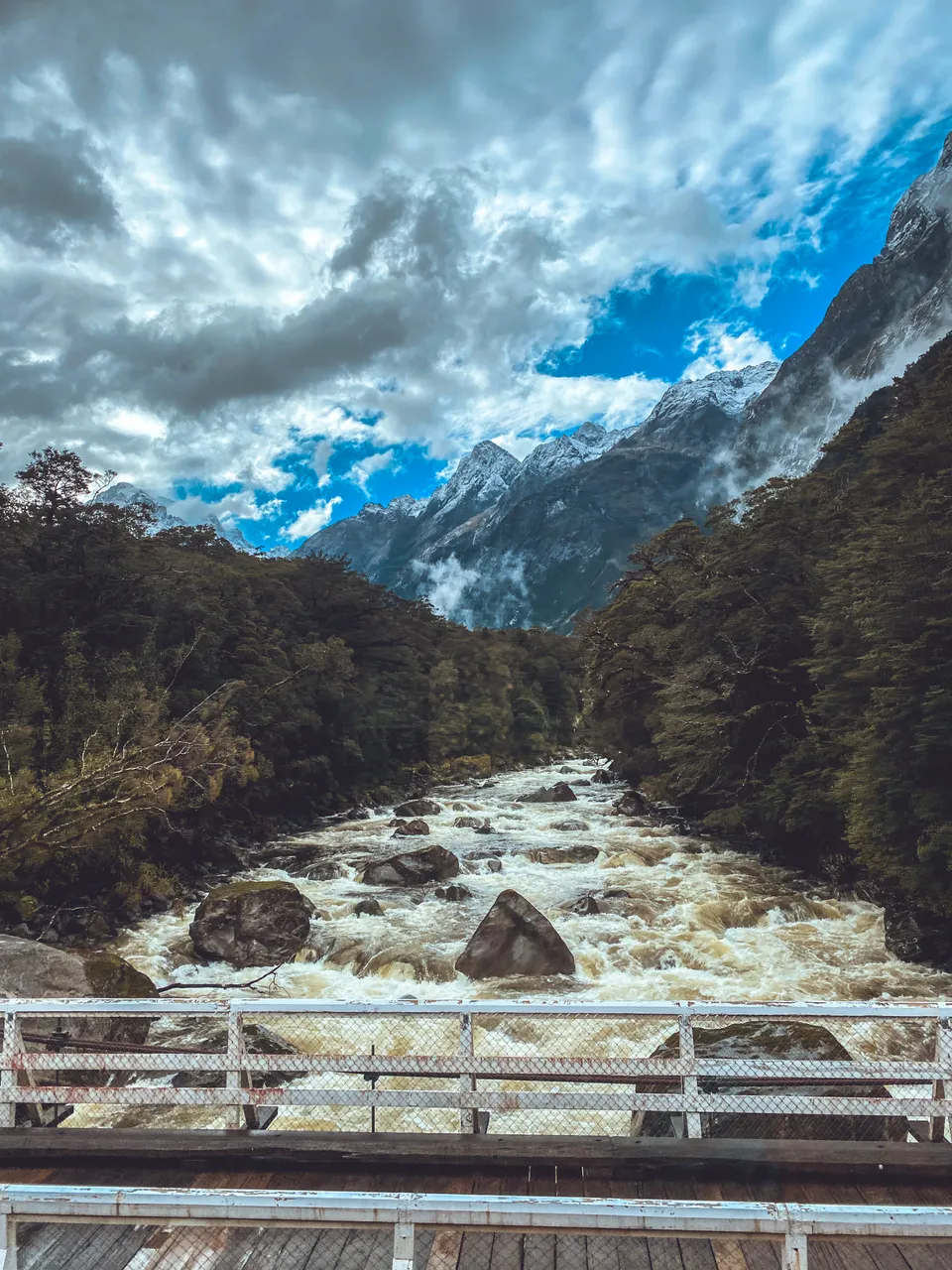 Milford Road - Southland, New Zealand - Credit Great South (6)