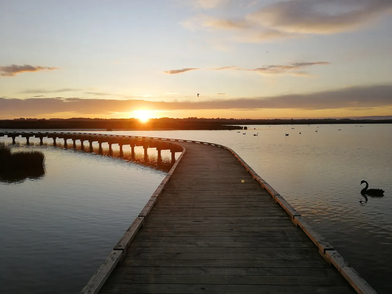 Estuary Walkway - Southland, New Zealand - Credit Great South