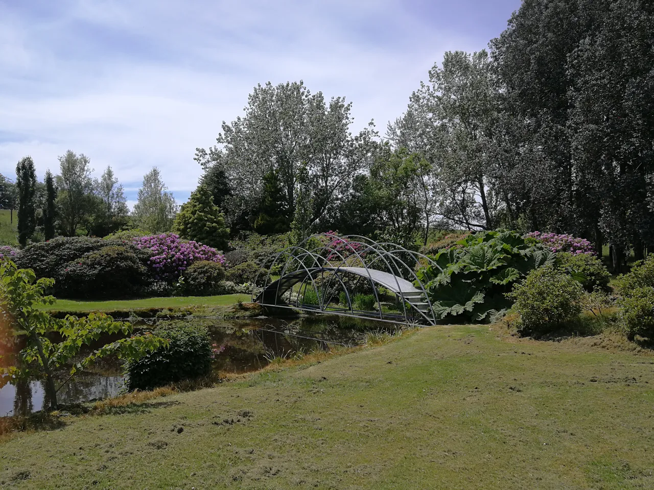 Maple Glen Gardens - Southland, New Zealand - Credit Great South (8)