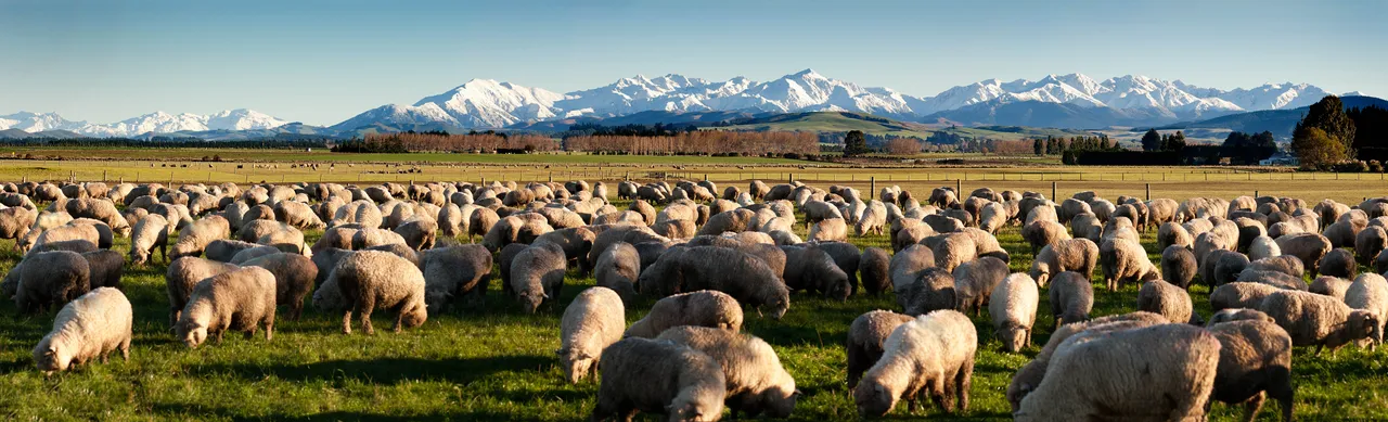 Takitimu Mountains - Southland, New Zealand - Credit Jeremy Pierce