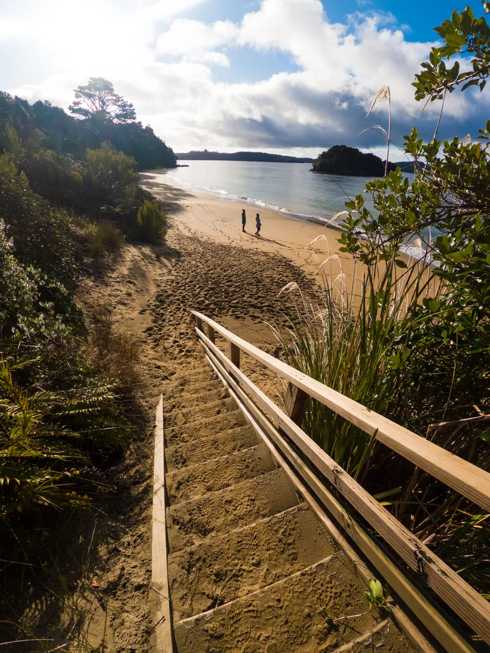 Sydney Cove, Ulva Island - Southland, New Zealand - Credit Great South (2)