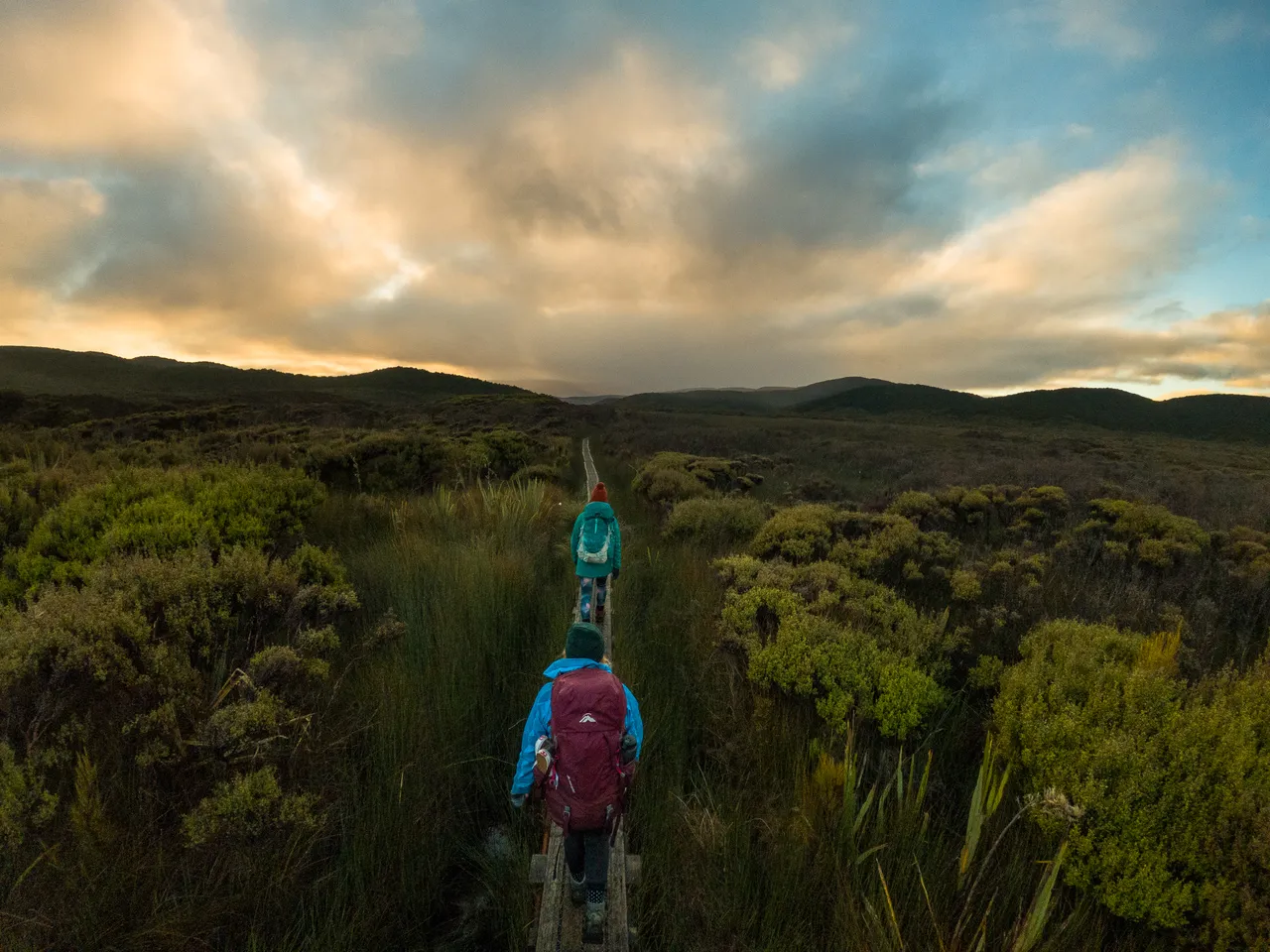 Rakiura Track - Southland, New Zealand - Credit Great South (15)