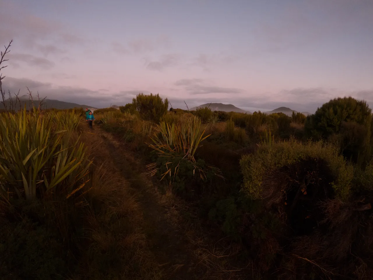 Rakiura Track - Southland, New Zealand - Credit Great South (5)