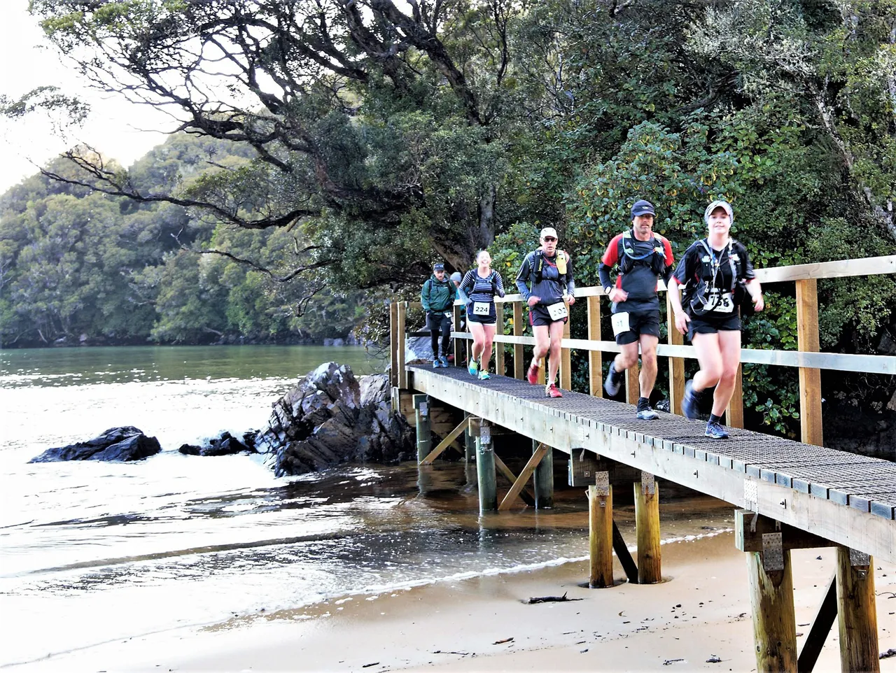 Rakiura Challenge Trail Run - Southland, New Zealand - Credit Great South (1)