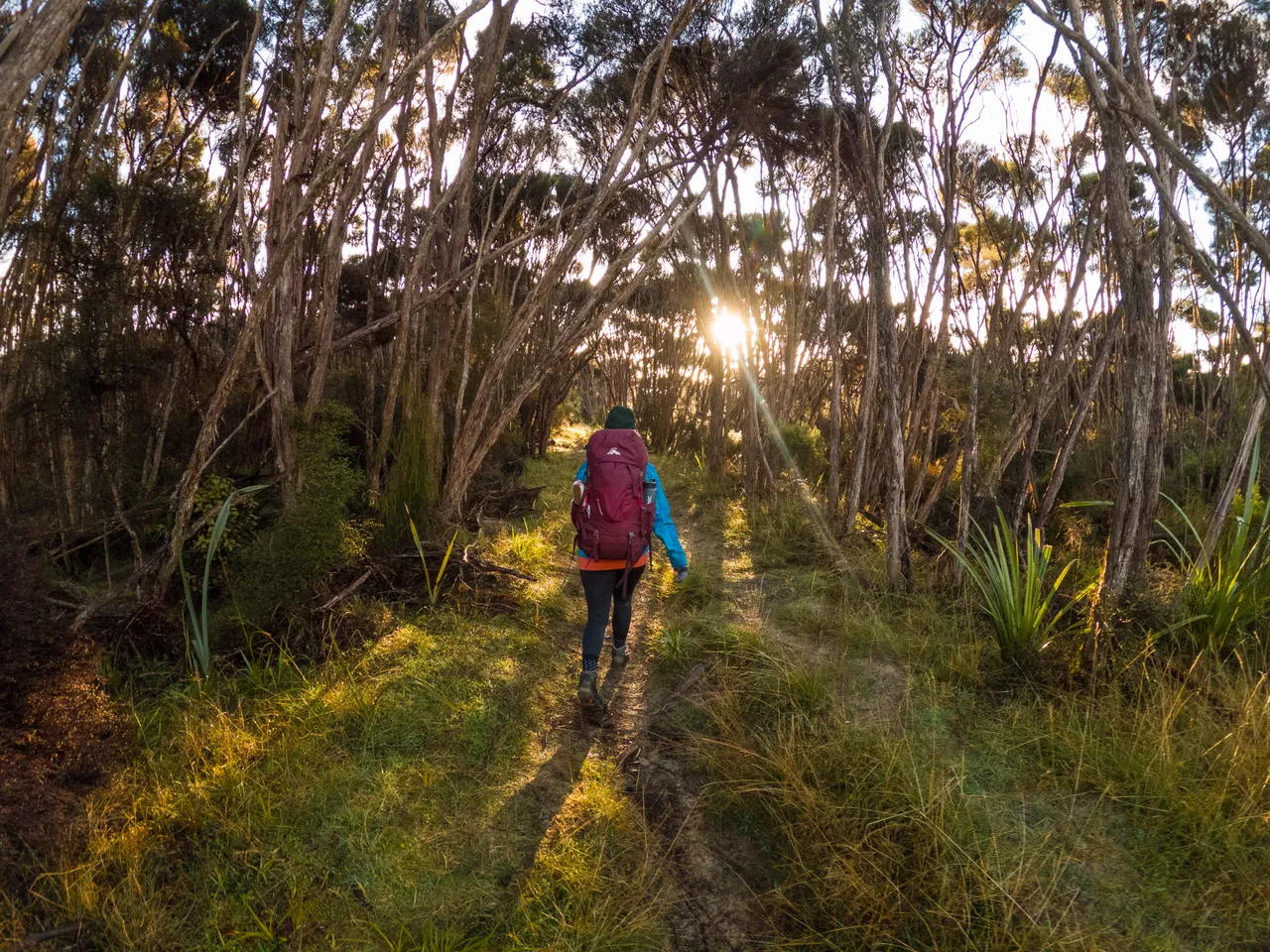 Rakiura Track - Southland, New Zealand - Credit Great South (21)